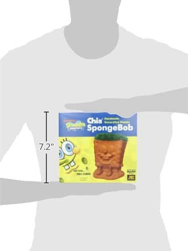 Chia Pet with Seed Pack, Decorative Pottery Planter, Easy to Do and Fun to Grow,
