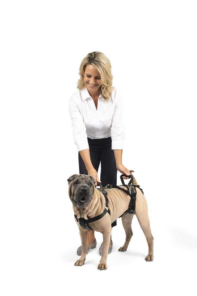 PetSafe CareLift Support Harness Full Body Lifting Aid with Handle Great for Pet Mobility and Older Dogs Medium