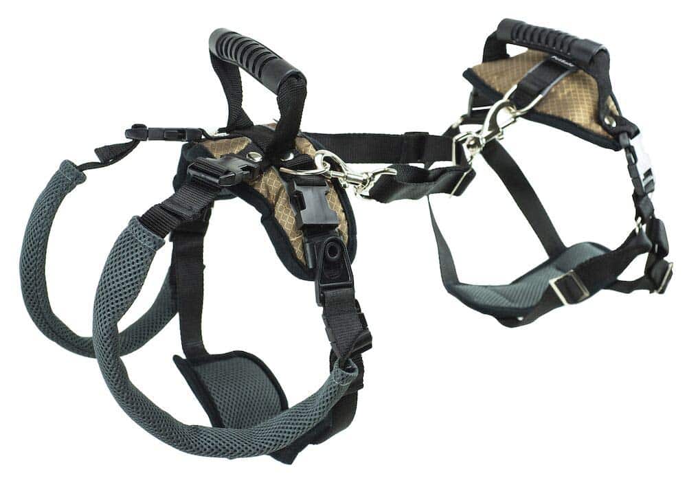PetSafe CareLift Support Harness Full Body Lifting Aid with Handle Great for Pet Mobility and Older Dogs Medium