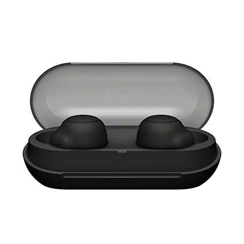 Sony WF-C500 Truly Wireless In-Ear Bluetooth Earbud Headphones with Mic and IPX4 water resistance, Black