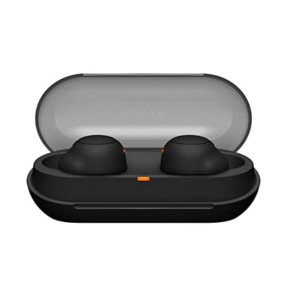 Sony WF-C500 Truly Wireless In-Ear Bluetooth Earbud Headphones with Mic and IPX4 water resistance, Black