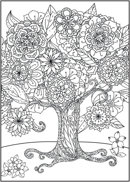 Timeless Creations Adult Coloring Book, Nature'S Escape, 64 Pages
