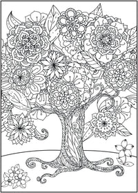Timeless Creations Adult Coloring Book, Nature'S Escape, 64 Pages