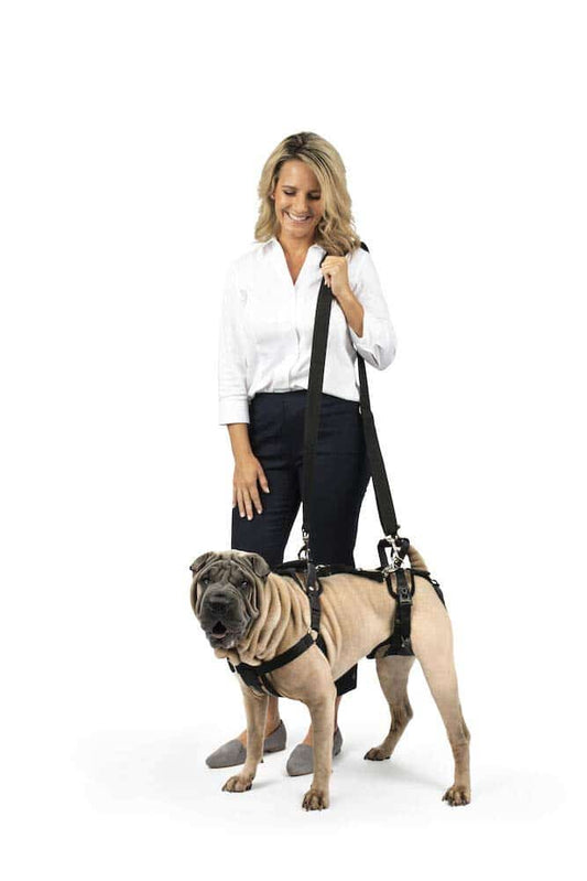 PetSafe CareLift Support Harness Full Body Lifting Aid with Handle Great for Pet Mobility and Older Dogs Medium