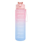 25 oz Water Bottle, Leakproof BPA & Toxic Free, Motivational Water Bottle with Times to Drink and Straw, Fitness Sports Water Bottle with Strap Pink