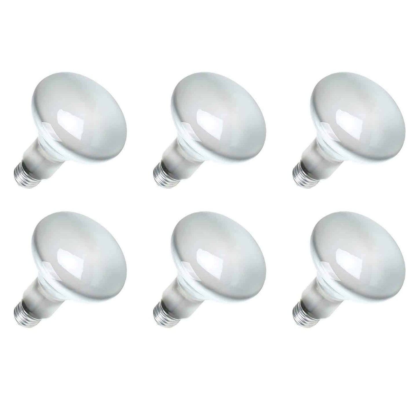 Sylvania 15160-6 120-Volt 65-Watt Flood Lamp Bulbs (6 Pack)