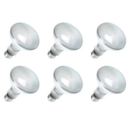 Sylvania 15160-6 120-Volt 65-Watt Flood Lamp Bulbs (6 Pack)