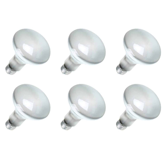 Sylvania 15160-6 120-Volt 65-Watt Flood Lamp Bulbs (6 Pack)
