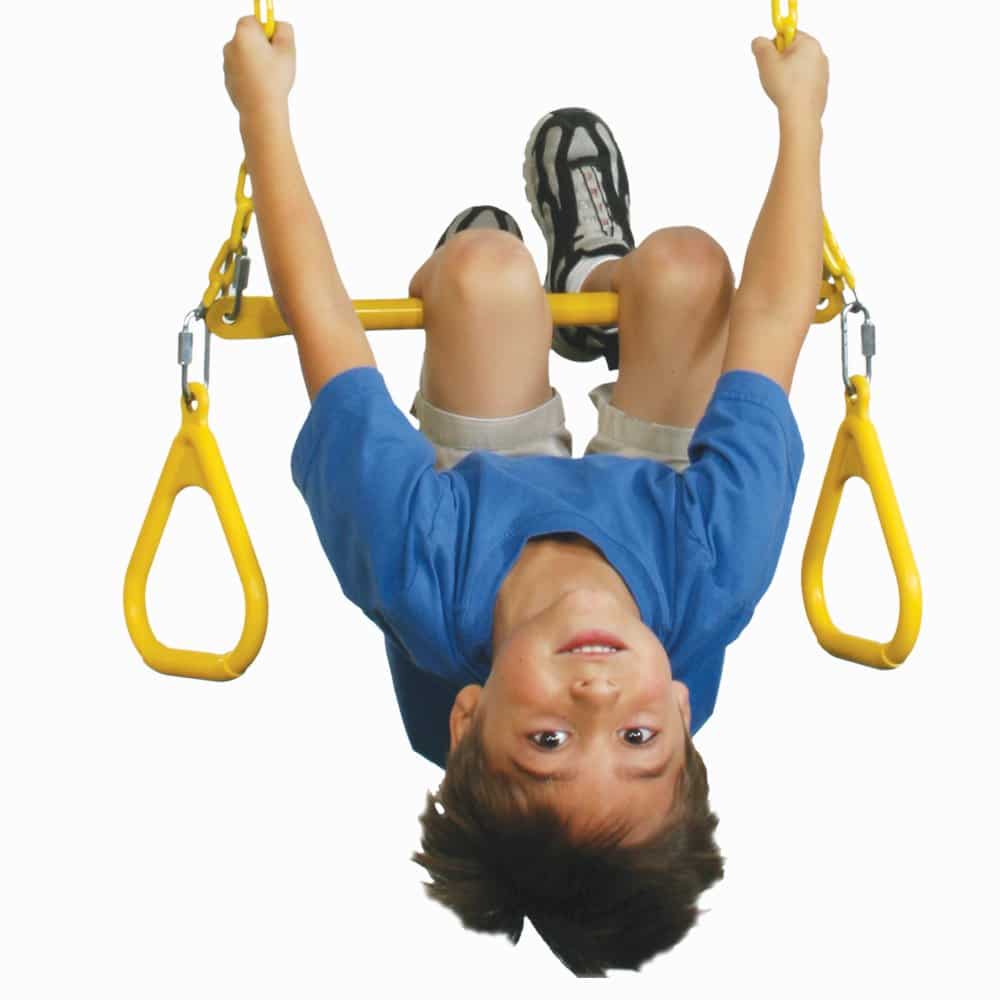 Swing-N-Slide Heavy Duty Ring/Trapeze