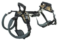 PetSafe CareLift Support Harness Full Body Lifting Aid with Handle Great for Pet Mobility and Older Dogs Medium
