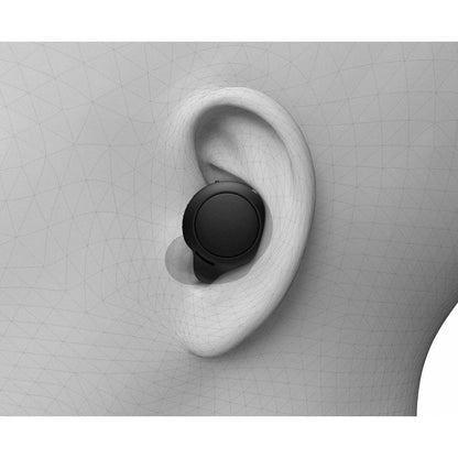 Sony WF-C500 Truly Wireless In-Ear Bluetooth Earbud Headphones with Mic and IPX4 water resistance, Black