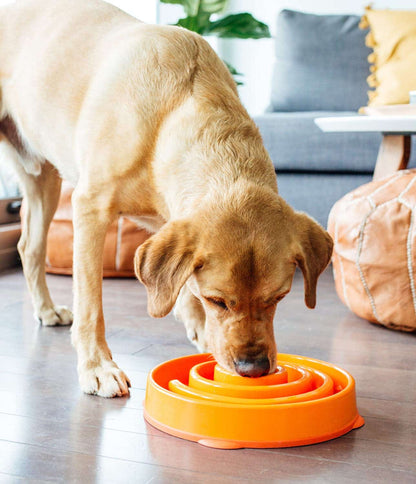 Outward Hound Fun Feeder Slo Bowl, Slow Feeder Dog Bowl, Large/Regular, Orange