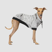 Canada Pooch Spacedye Hero Dog Hoodie