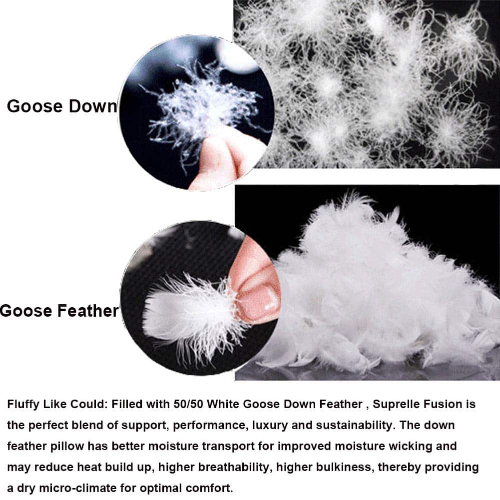 XCW Goose Down and Feather Pillow - 90% Down Filling Set of 2 Bed Pillows for Sleeping with Premium 100% Egyptian Cotton Shell, Queen Size 20x28inches