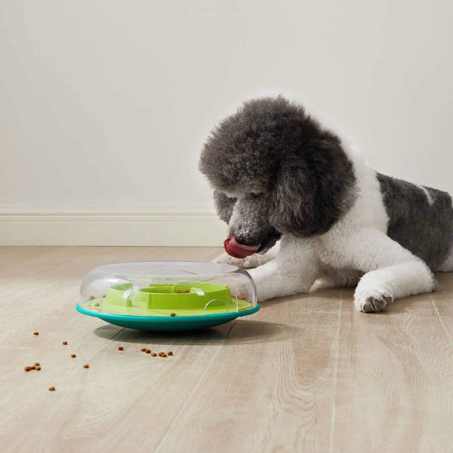 Outward Hound Nina Ottosson Wobble Bowl Dog Game -Interactive Slow Feeder Bowl Dog Game