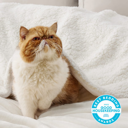 Bedsure Sherpa Fleece Throw Blanket for Couch - Thick and Warm Blanket for Winter, Soft Fuzzy Plush Throw Blanket for All Seasons