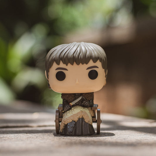 Funko Pop Television: Game of Thrones Bran Stark Collectible Figure, Multicolor
