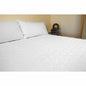Delux Heated Mattress Pad Full